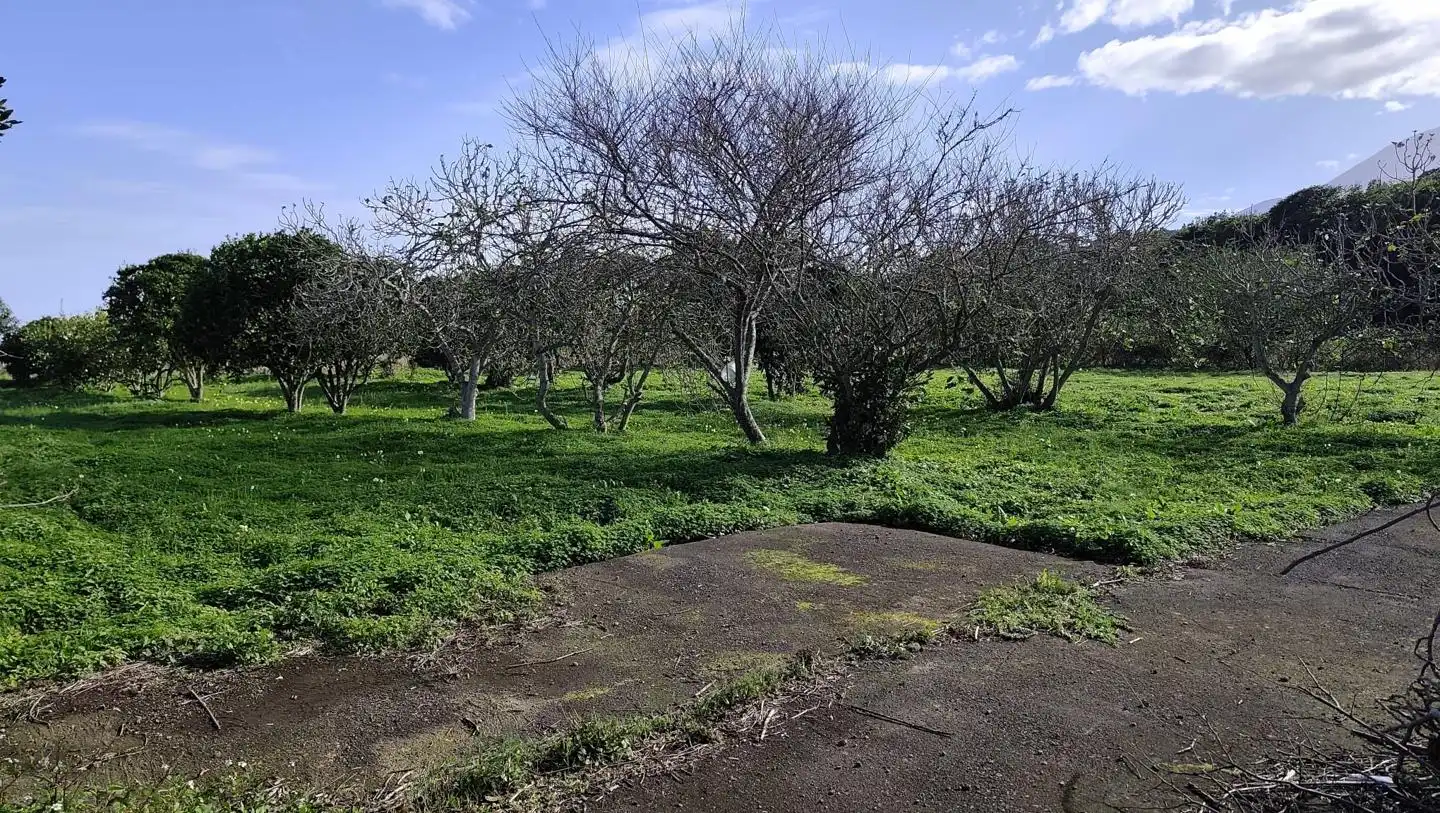 Finca rústica en venda en El Tanque