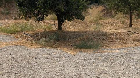 Photo 4 of Land for sale in Centro, Málaga