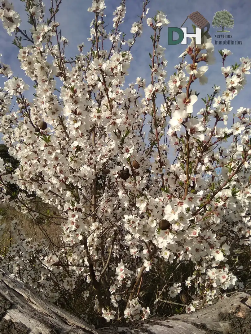 Jardí de Pis en venda en Brozas amb Calefacció, Terrassa i Traster
