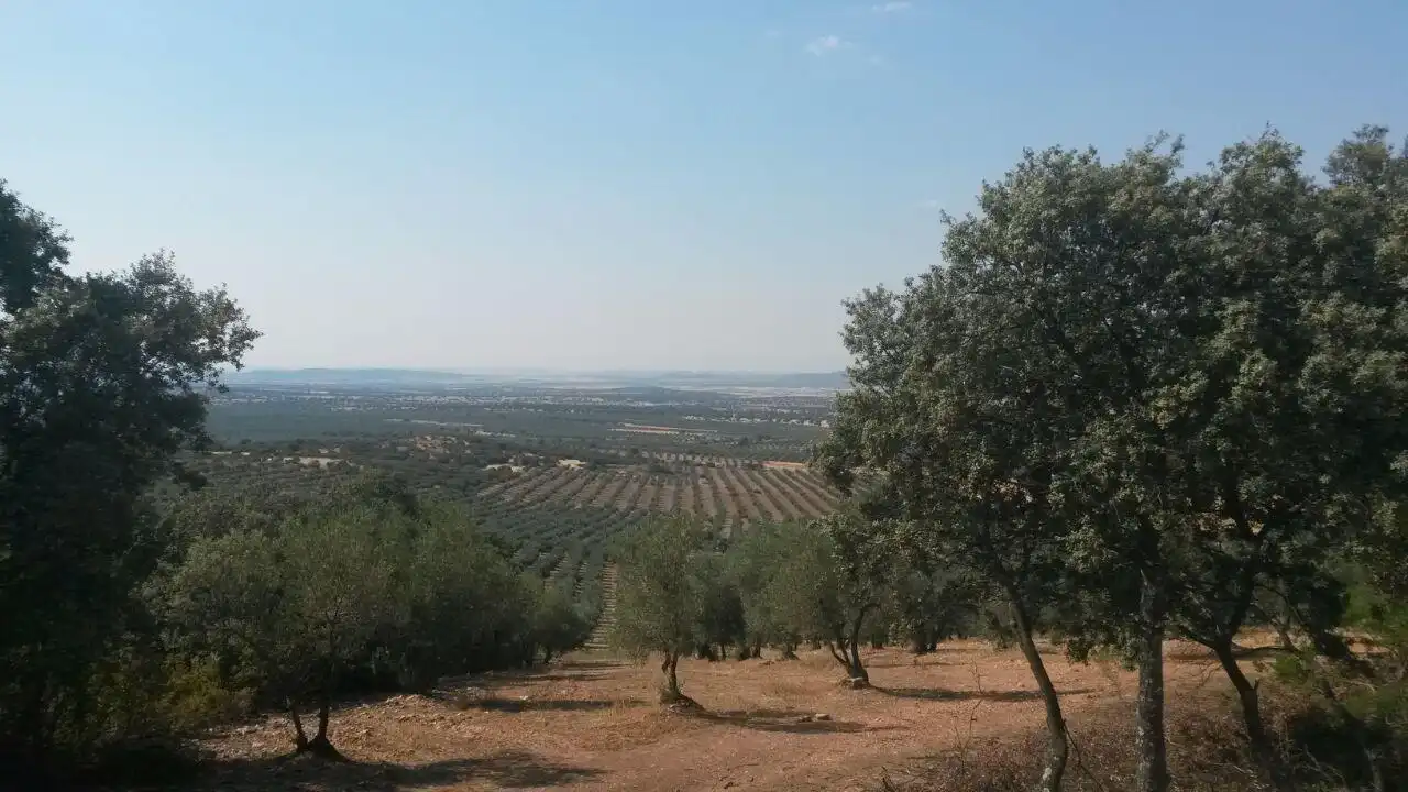 Casa rústica en venda a Almodóvar del Campo, imagen 21