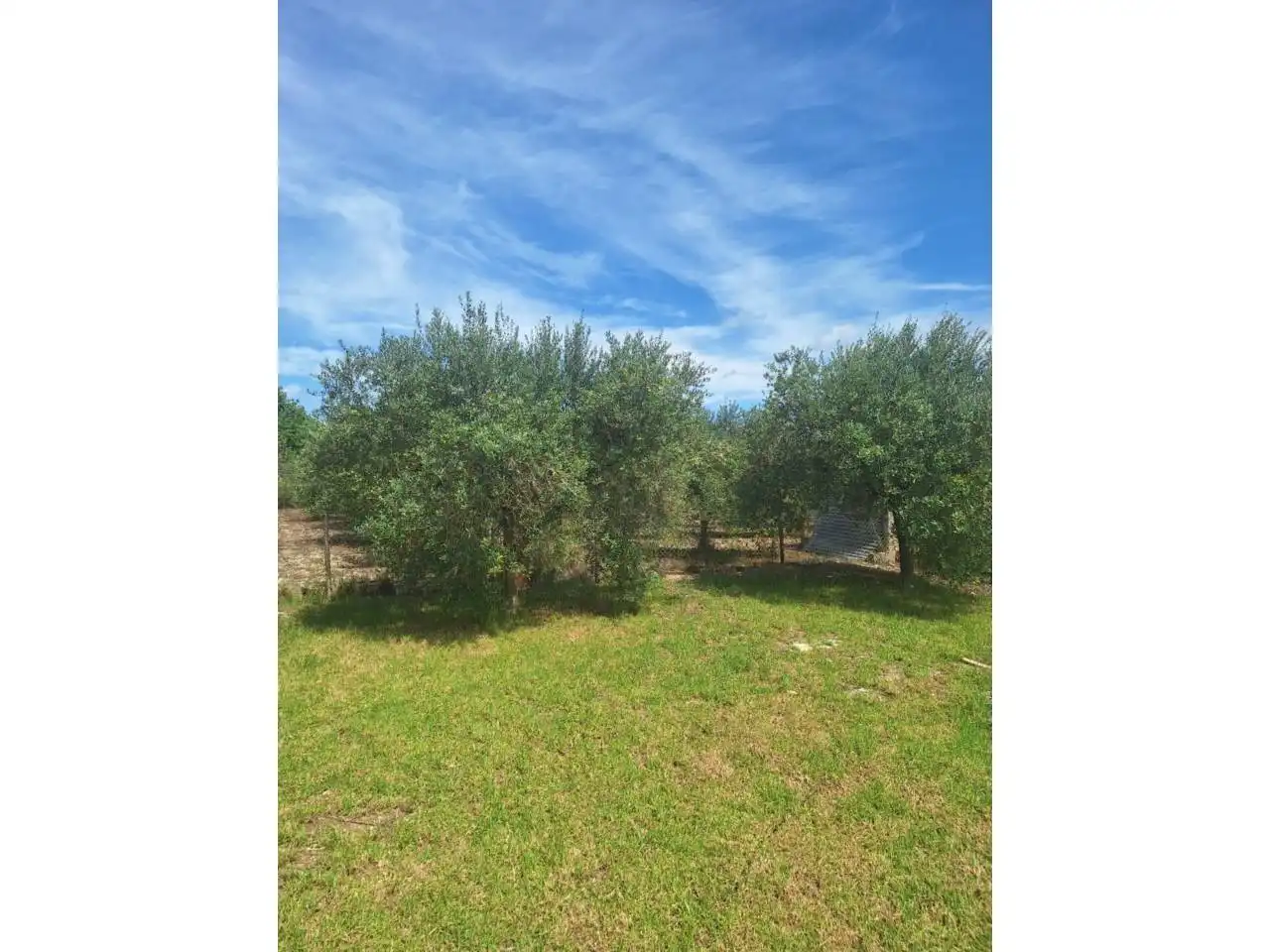Maison rustique avec piscine à vendre à Son Servera Poble, imagen 18