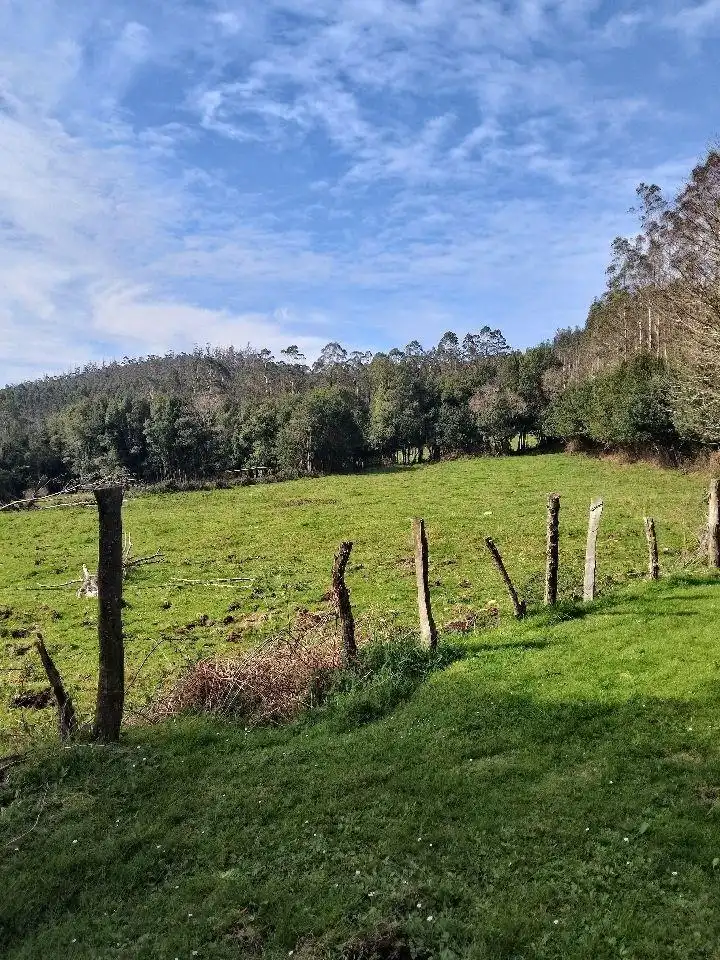 Finca rústica en venta en Cerdido con Jardín privado