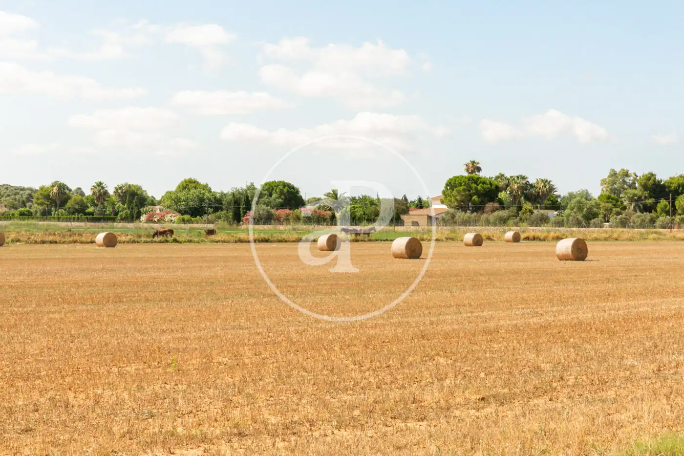 Casa o xalet en venda en  Palma de Mallorca amb Aire condicionat, Calefacció i Jardí privat
