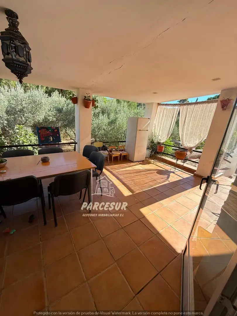 Jardí de Casa o xalet en venda en Córdoba amb Traster i Piscina