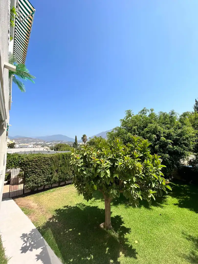 Planta baixa de lloguer a MANOLETE-NVA ANDALUCIA, 3, Nueva Andalucía centro