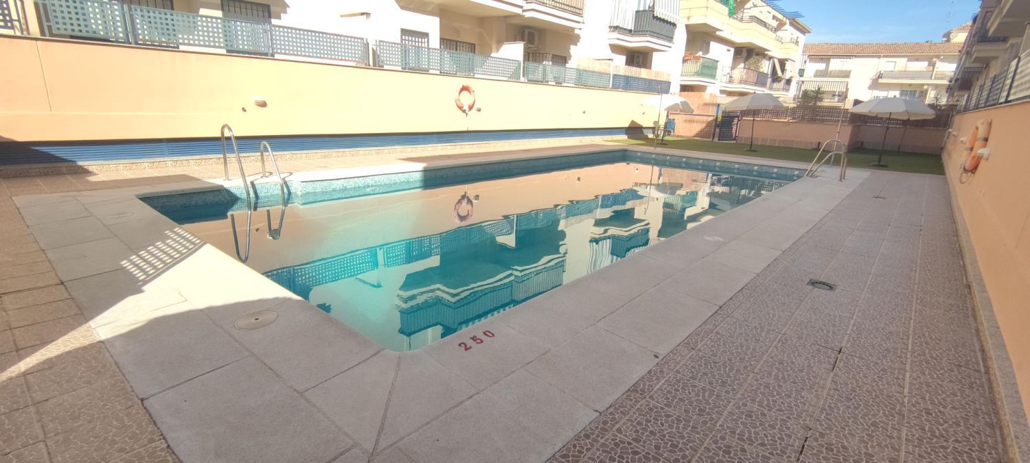 Swimming pool of Flat for sale in Las Gabias  with Terrace