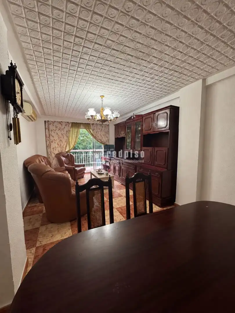Living room of Flat for sale in Carretera de Cádiz