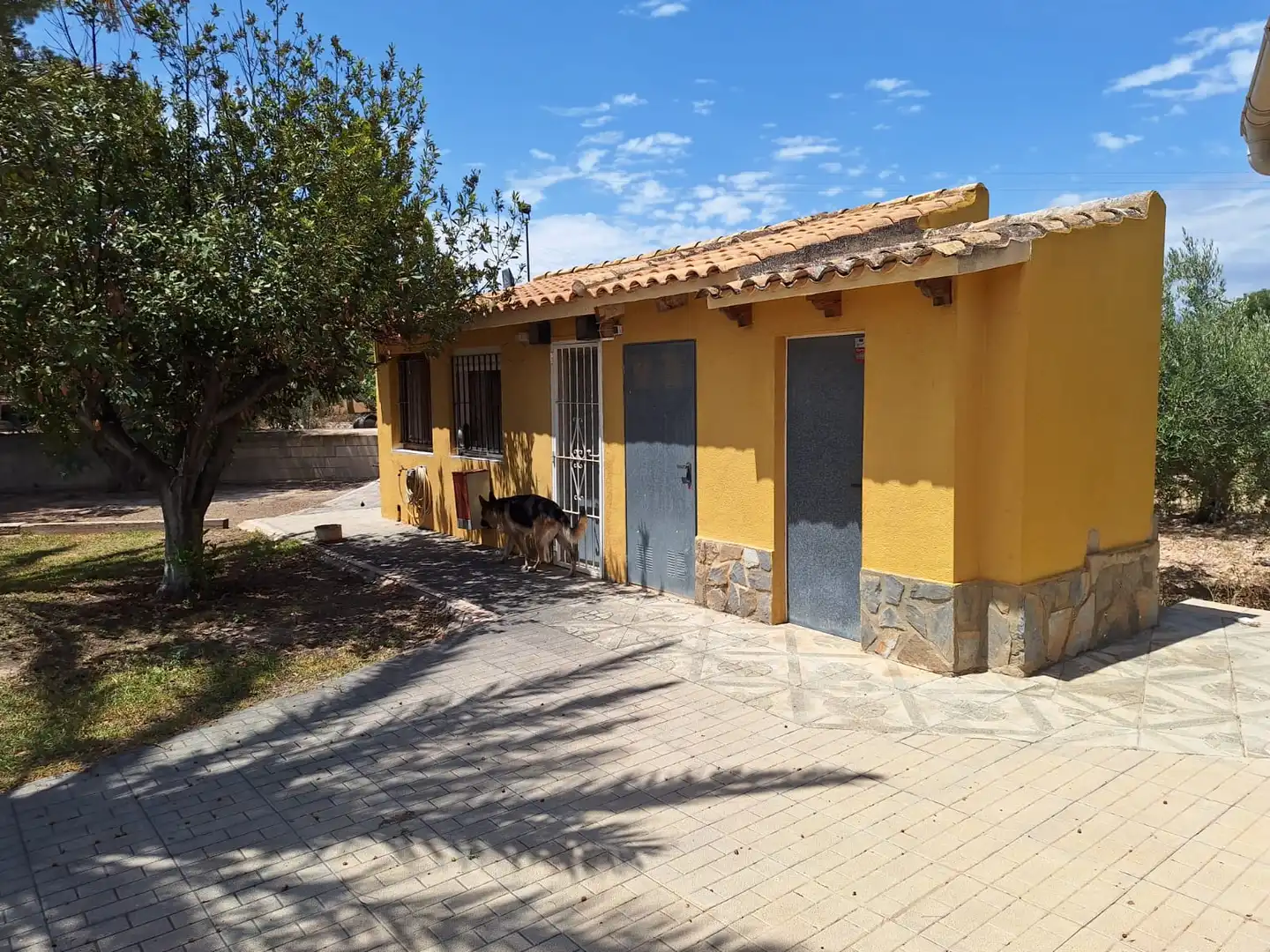 Vista exterior de Casa o xalet en venda en Alicante / Alacant amb Jardí privat, Terrassa i Traster