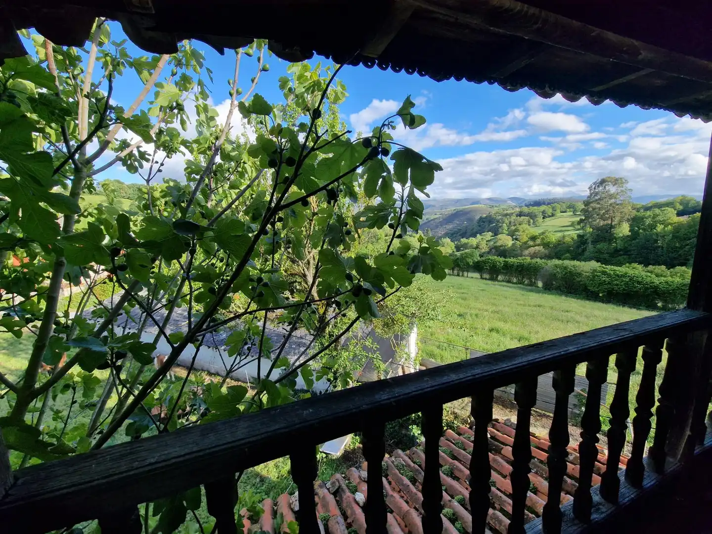 Terraza de Finca rústica en venta en Tineo con Balcón y Piscina comunitaria