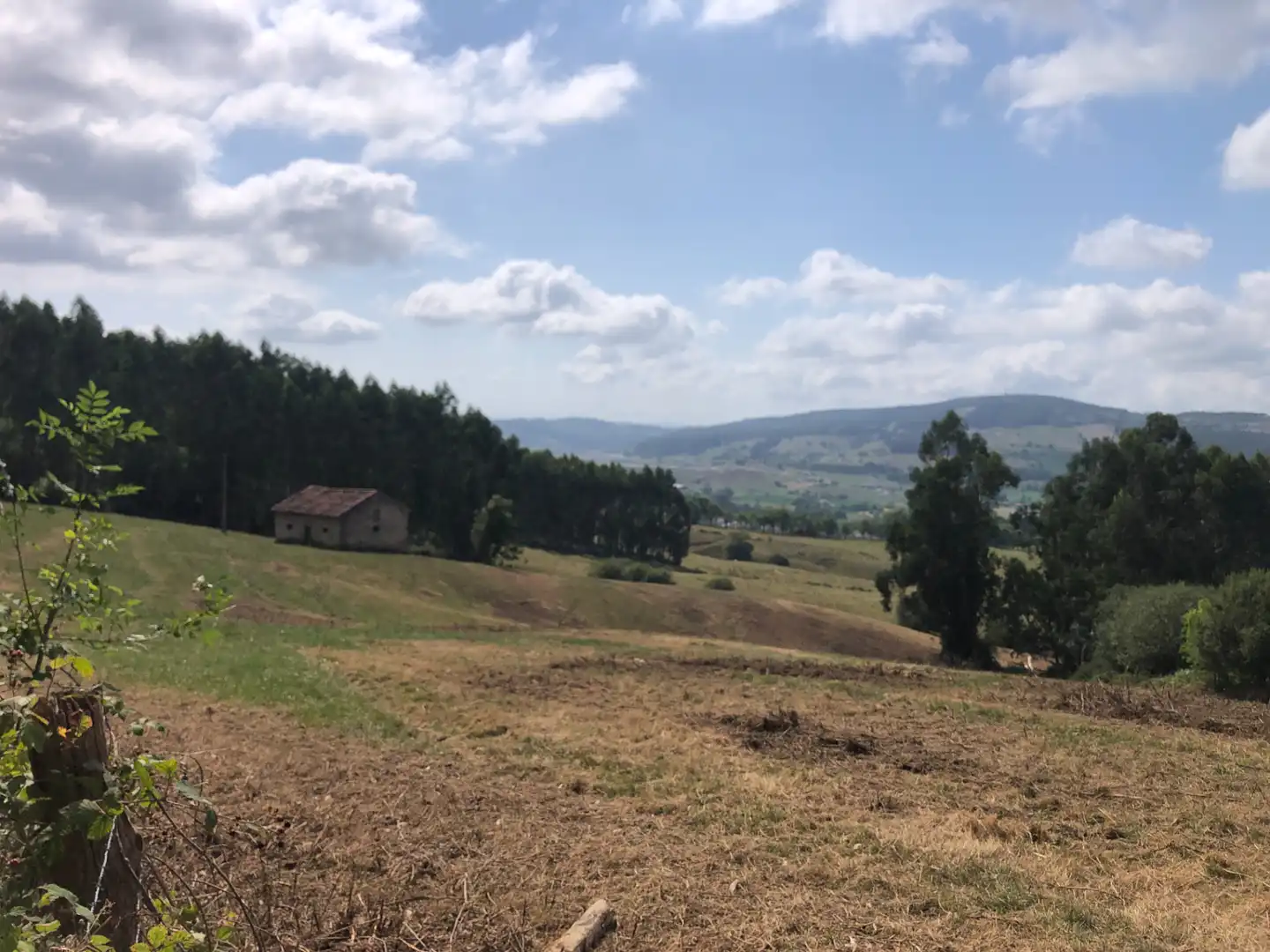 Finca rústica en venda en Villaescusa (Cantabria) amb Jardí privat