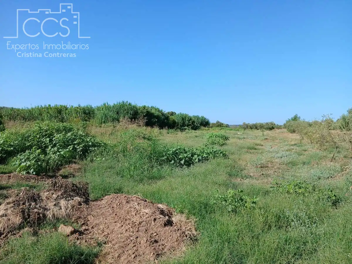Terrain rustique à vendre à Almonte ciudad, imagen 8