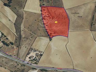 Rural land for sale in Pozos Viejos