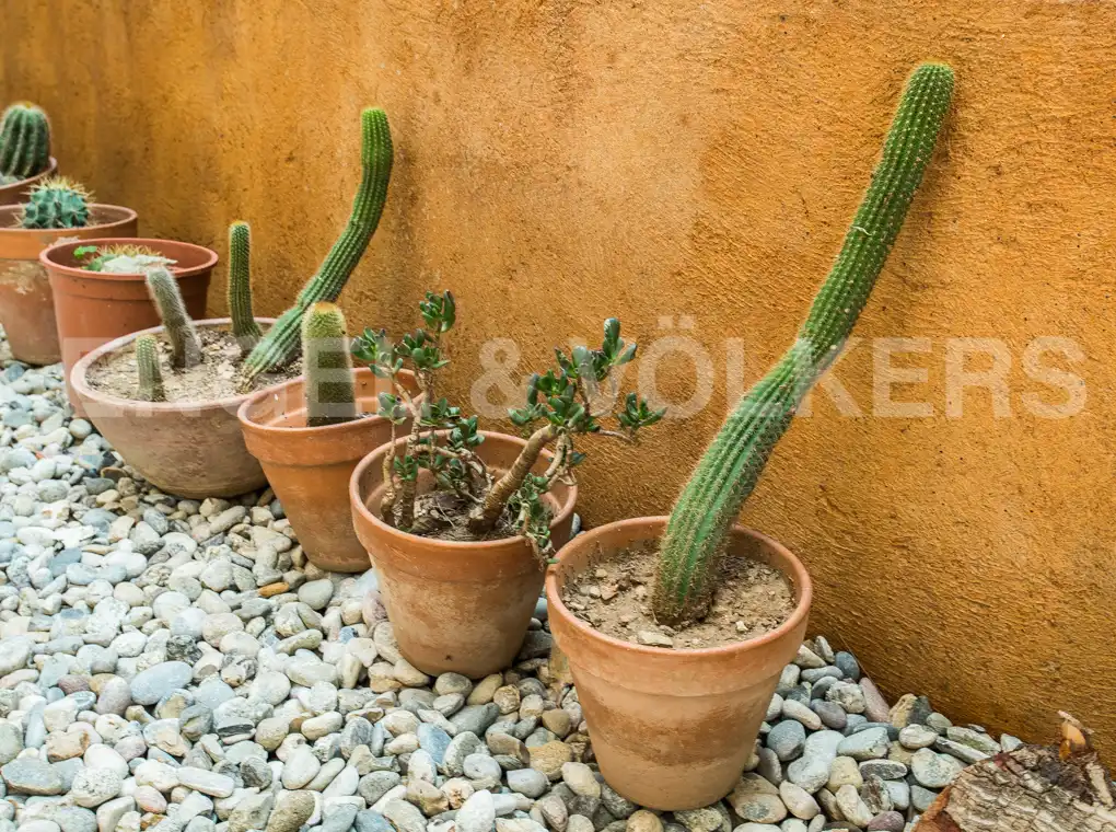 Garden of Flat for rent in Barcelona  with Air Conditioner, Heating and Private garden