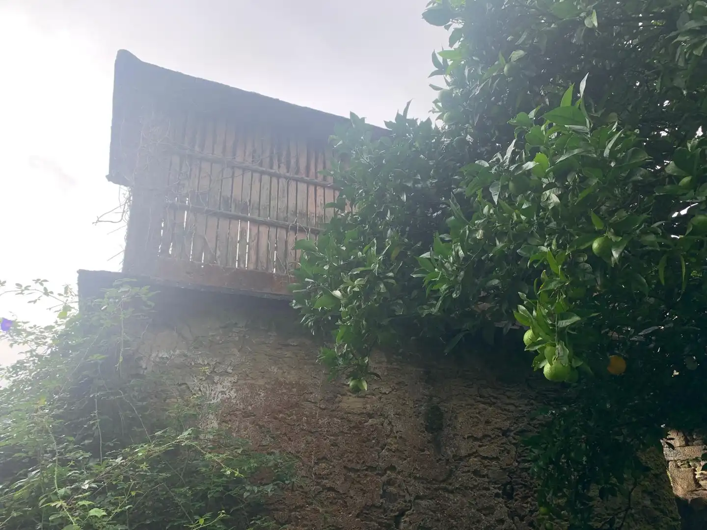 Casa rústica en venda a Camino Castillo Arriba, imagen 5