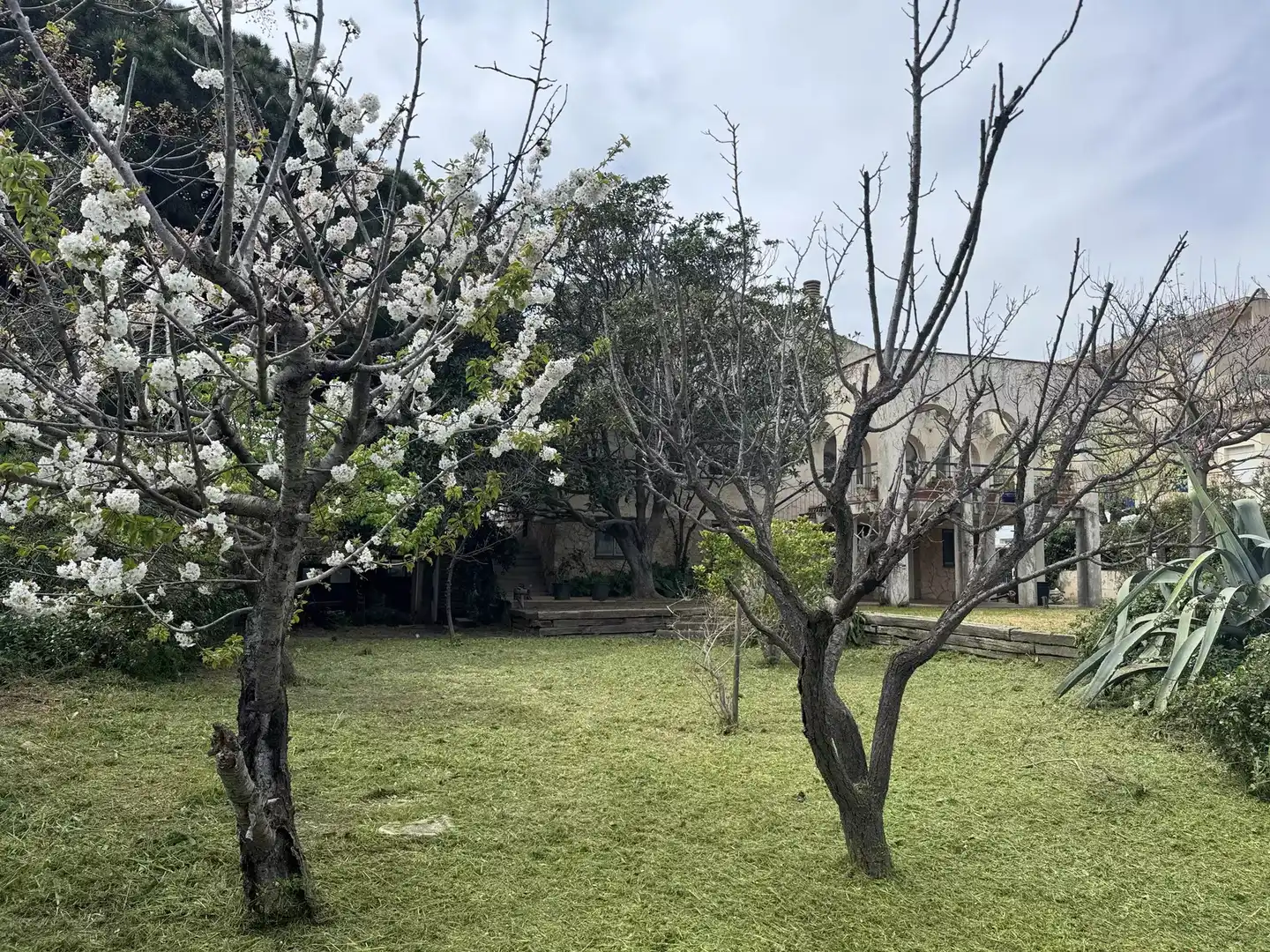 Jardín de Casa o chalet en venta en Colera con Jardín privado y Terraza