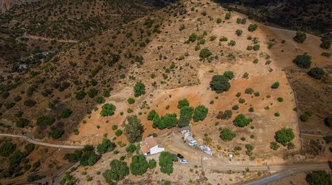 Foto 4 de Finca rústica en venda a Diseminado Poligono 2, Álora, Málaga