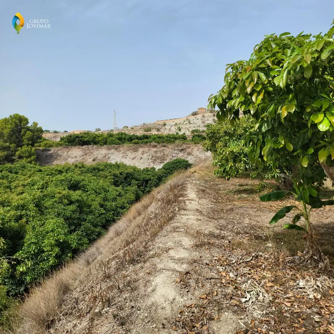Terreno en venta en Motril  ciudad