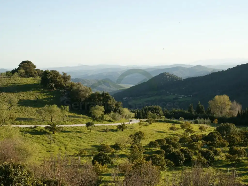 Casa rústica en venda a Gaucín, imagen 99