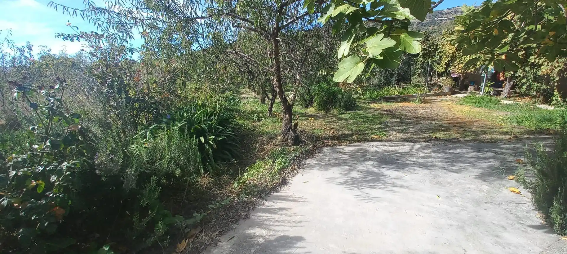 Casa rústica amb terrassa en venda a Cádiar, imagen 40