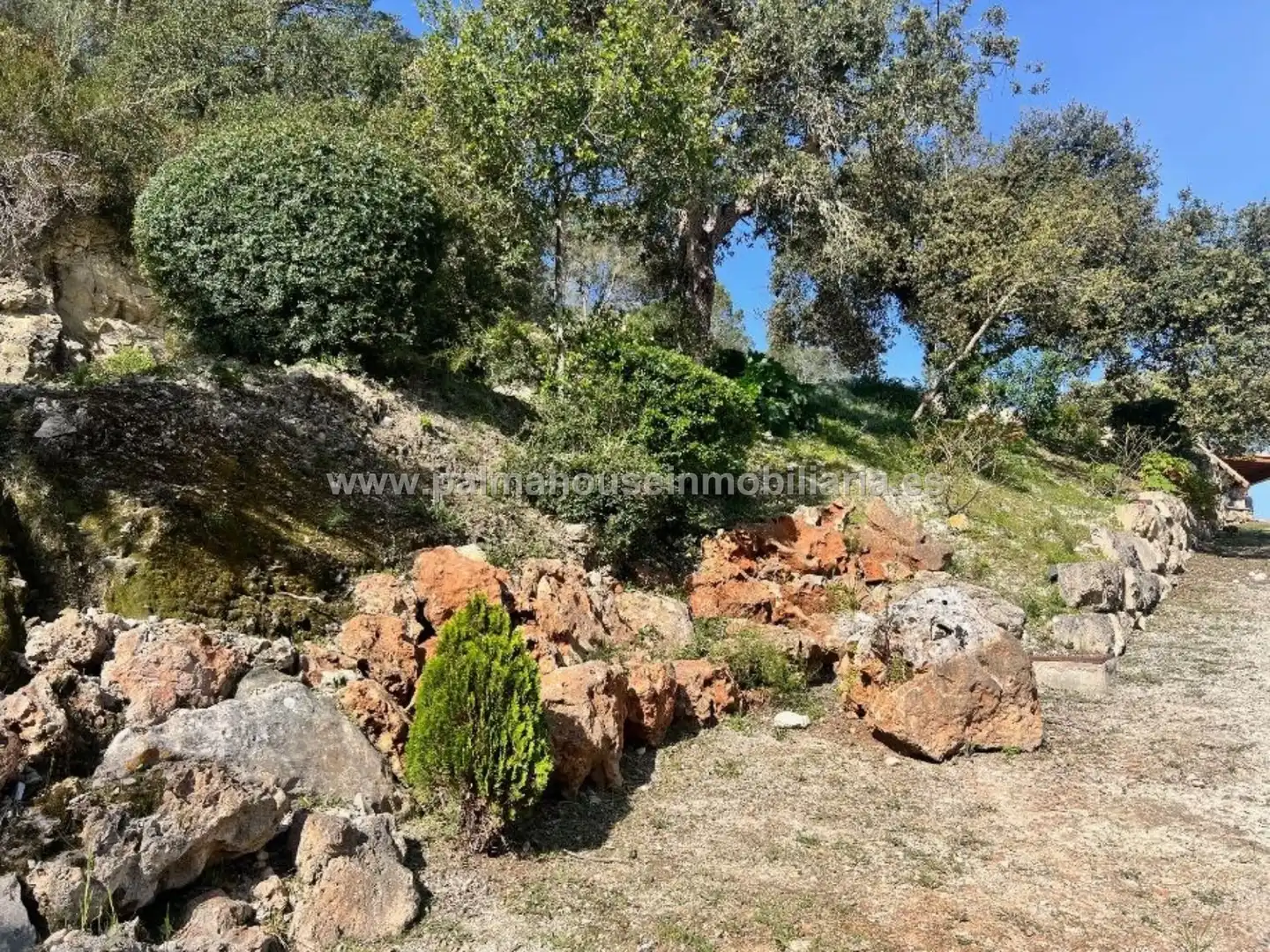 Country homes for rent in Sineu
