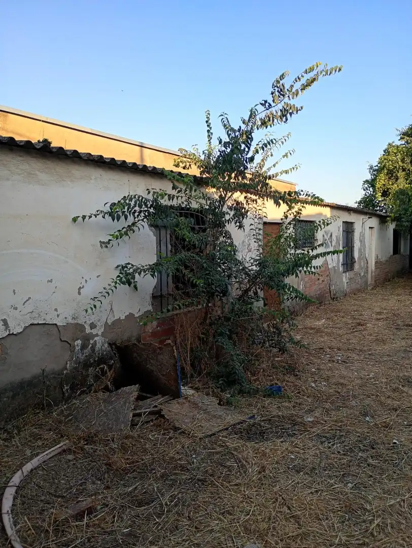 Grundstücke und Bauplätze zum Verkauf in Periurbano Este - Campiña, imagen 7