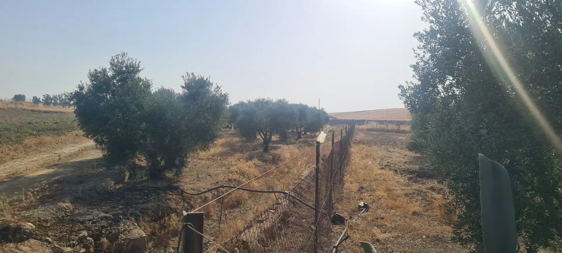 Terreni e lotti in vendita a Azuaga, imagen 4