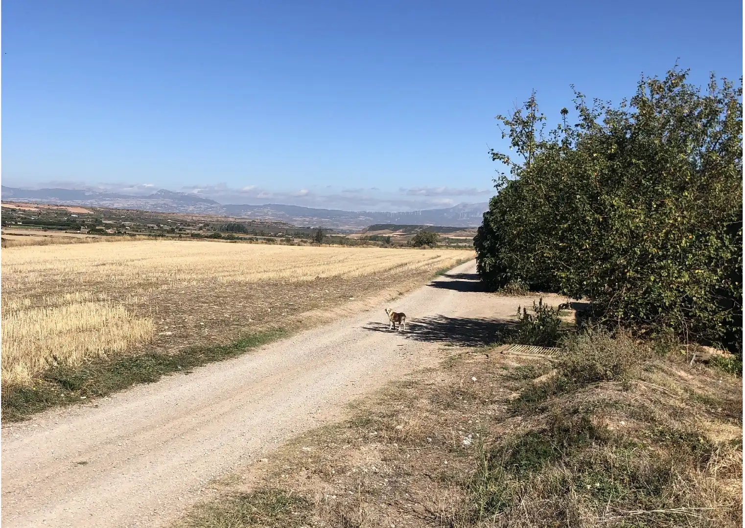 Terrenys i solars en venda a Alberite, imagen 6