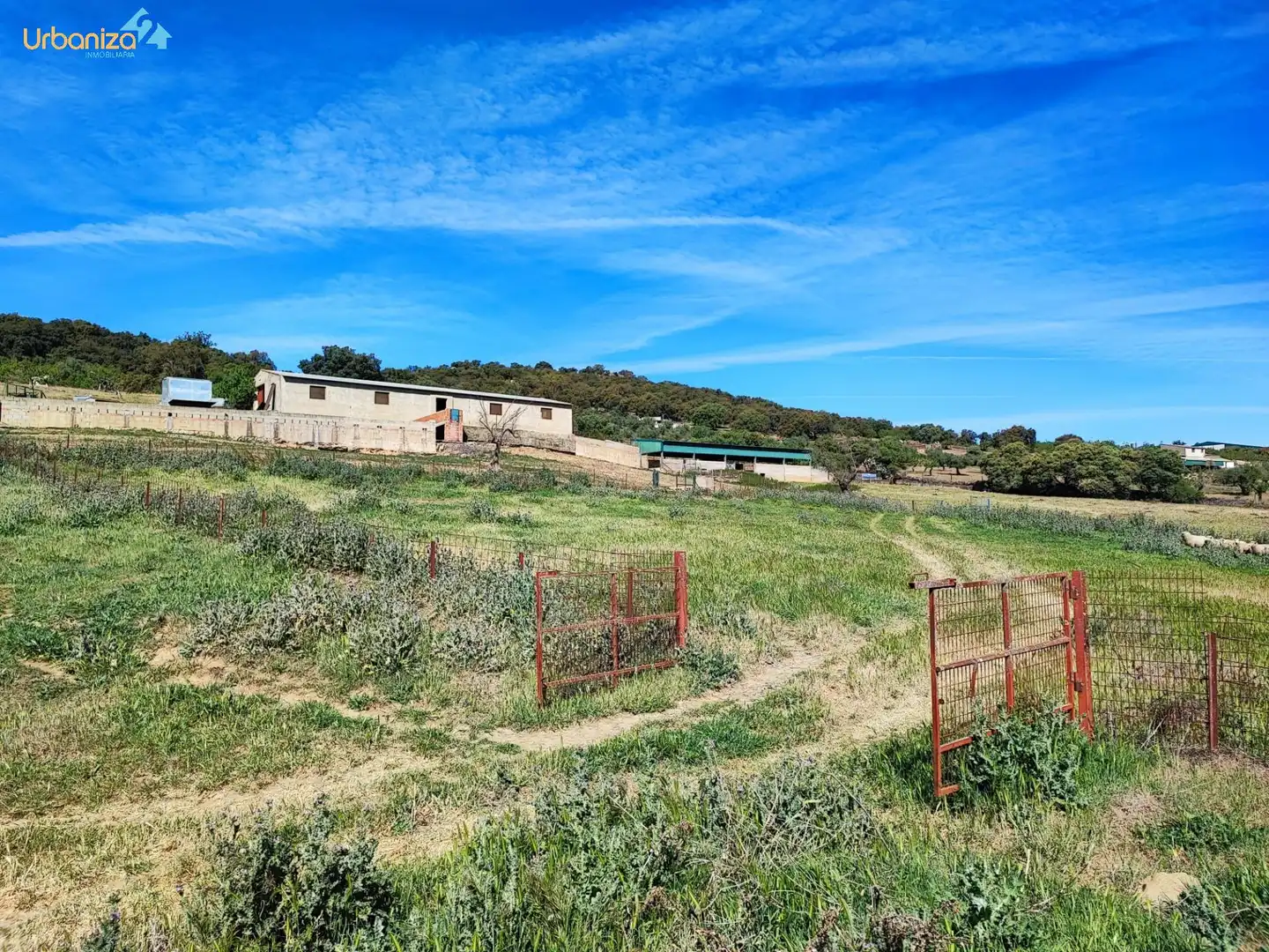 Land for sale in Salvaleón
