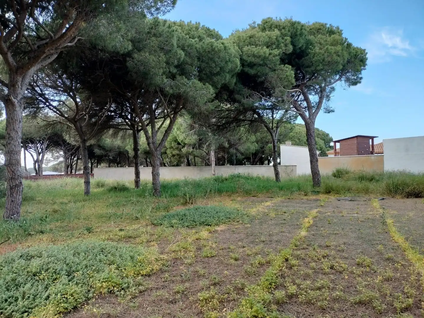 Terreno residencial en venta en Las Lagunas - Campano