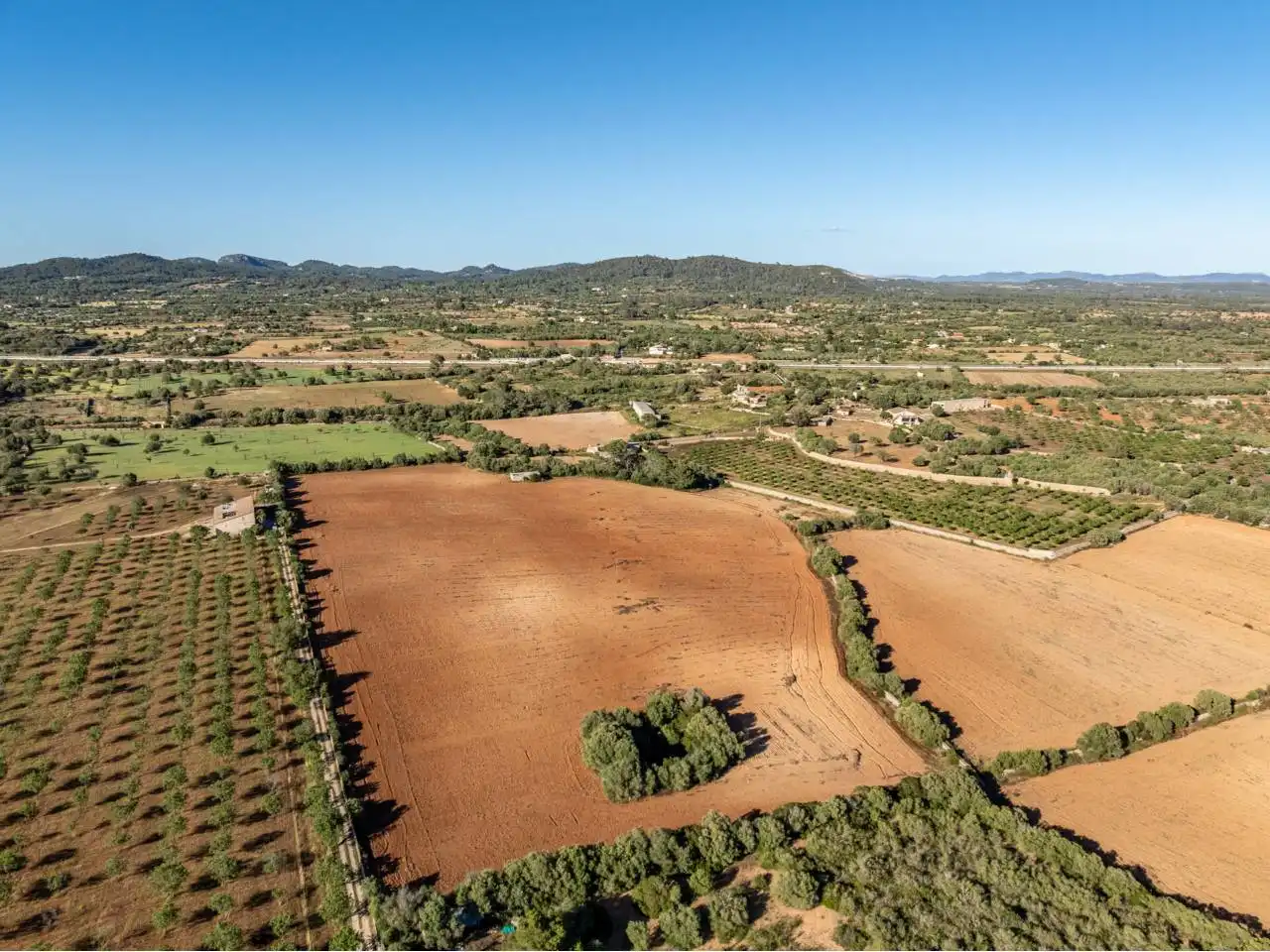 Terreno rustico in vendita a Llucmajor pueblo, imagen 115