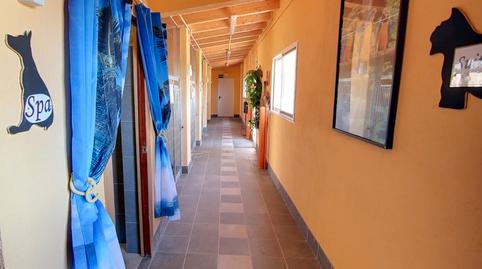 Photo 3 of Country house for sale in Móra d'Ebre, Tarragona