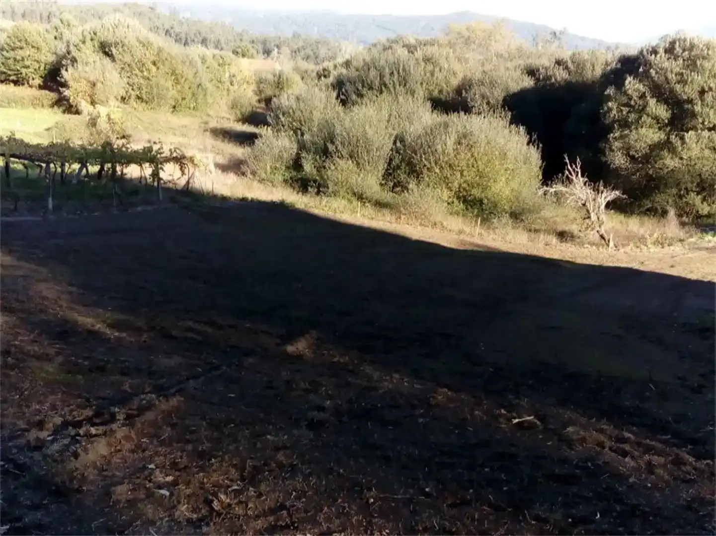 Finca rústica en venta en Cuntis