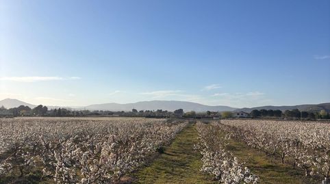 Foto 2 de Terreno en venta en Parcela Cascante, Cabanes y Las Fuentes, Villena