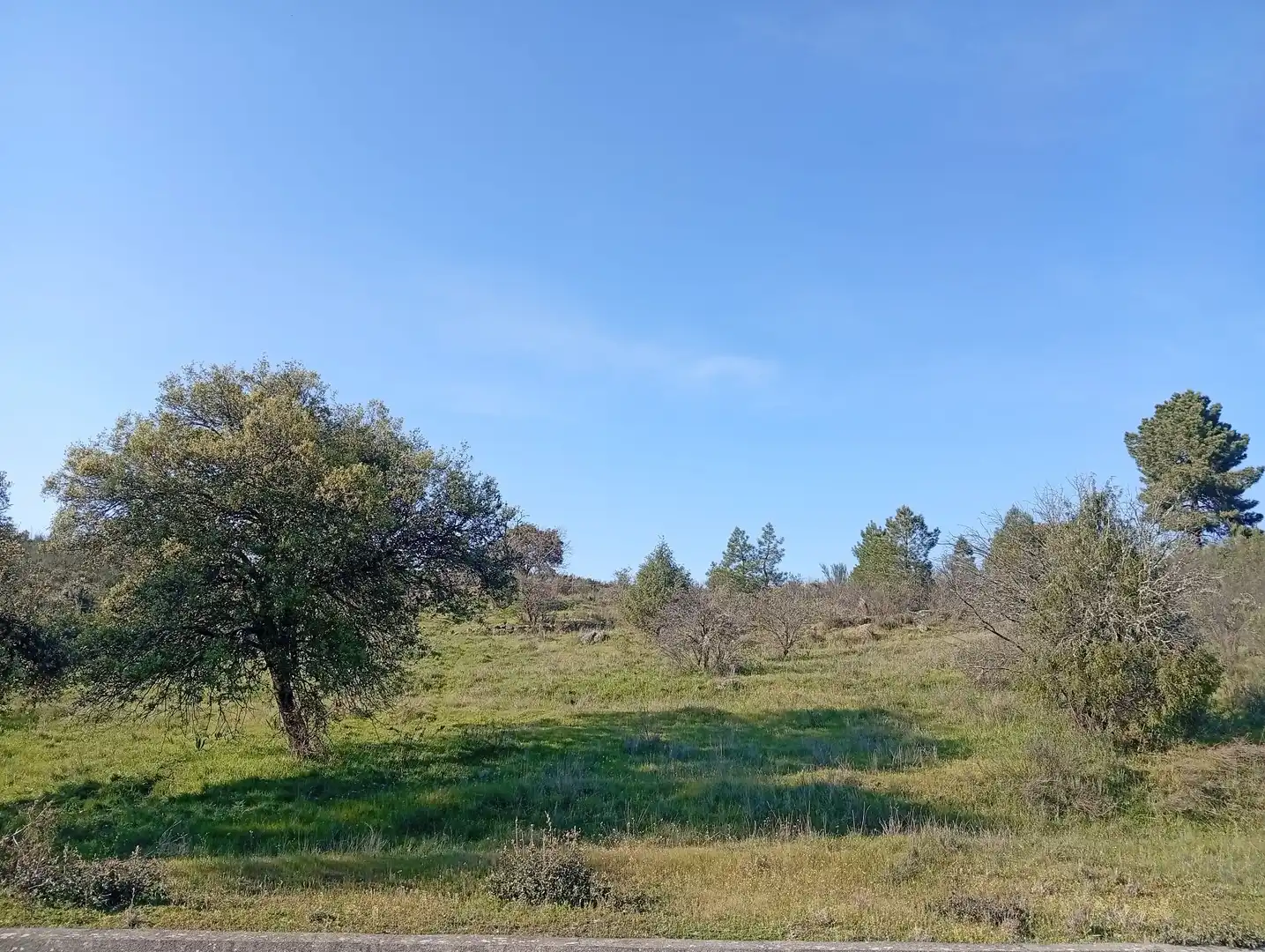 Terreni e lotti in vendita a Villanueva de la Vera