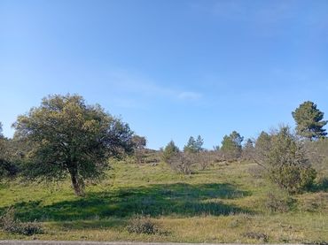 Rustikales Grundstück zum Verkauf in Villanueva de la Vera