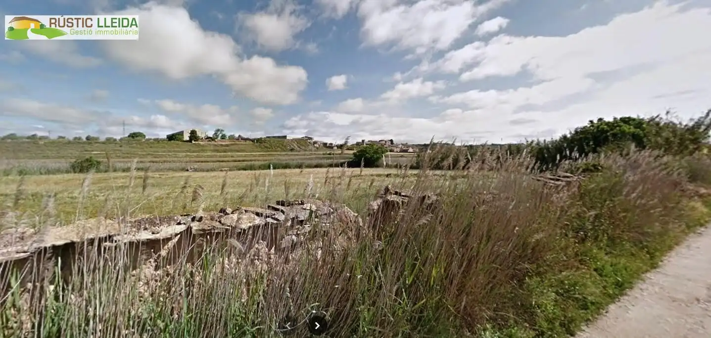 Terreny rústic en venda a Tàrrega