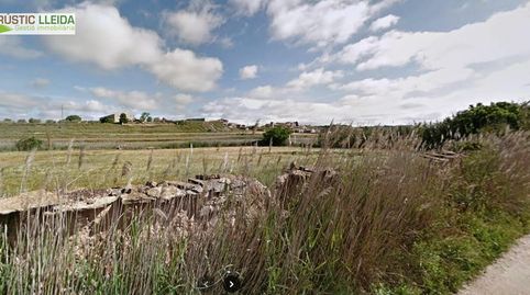 HUERTO EN VENTA EN LOS ALREDEDORES DE TÀRREGA.