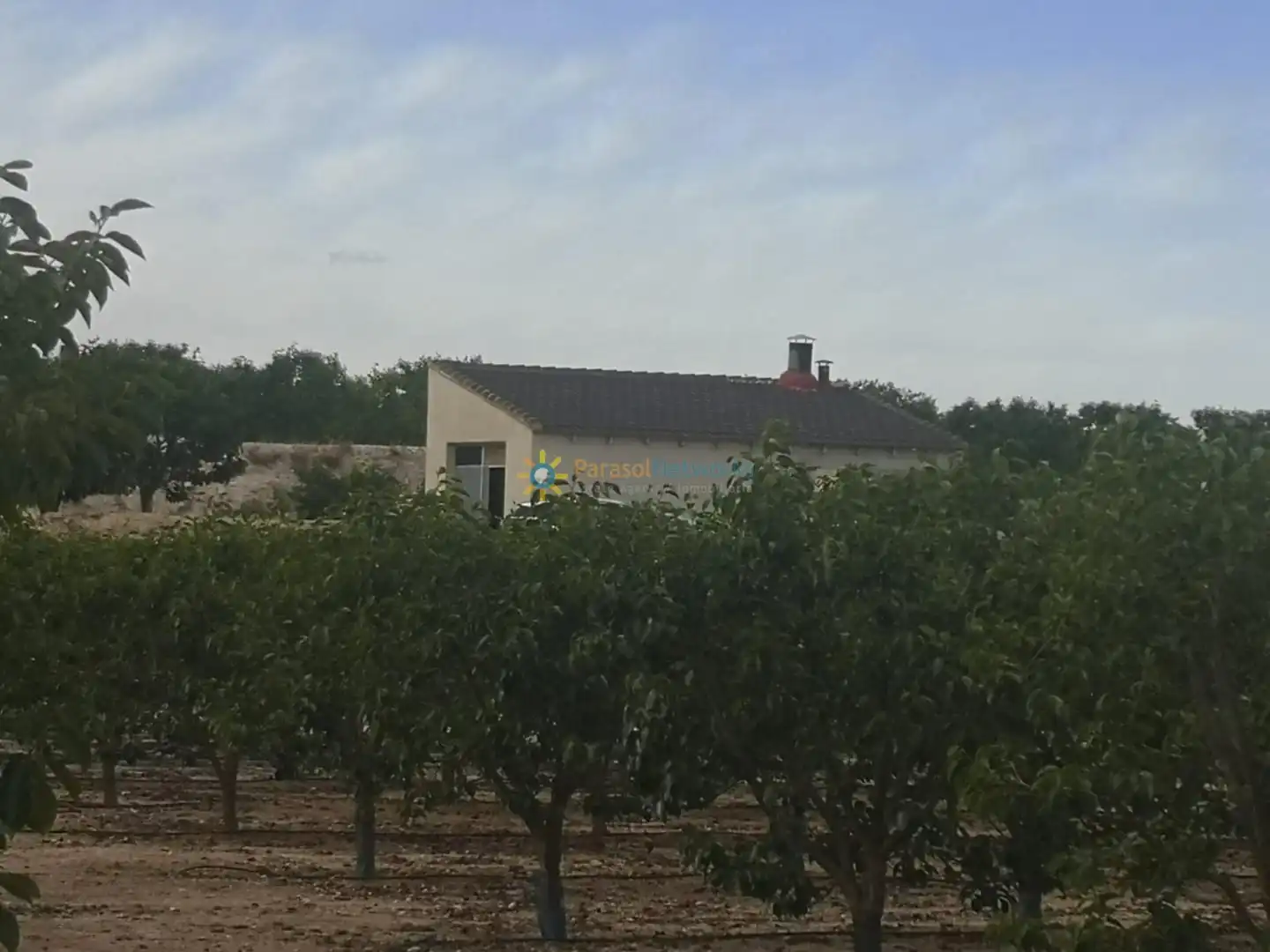 Rural land for sale in Benigànim, imagen 27