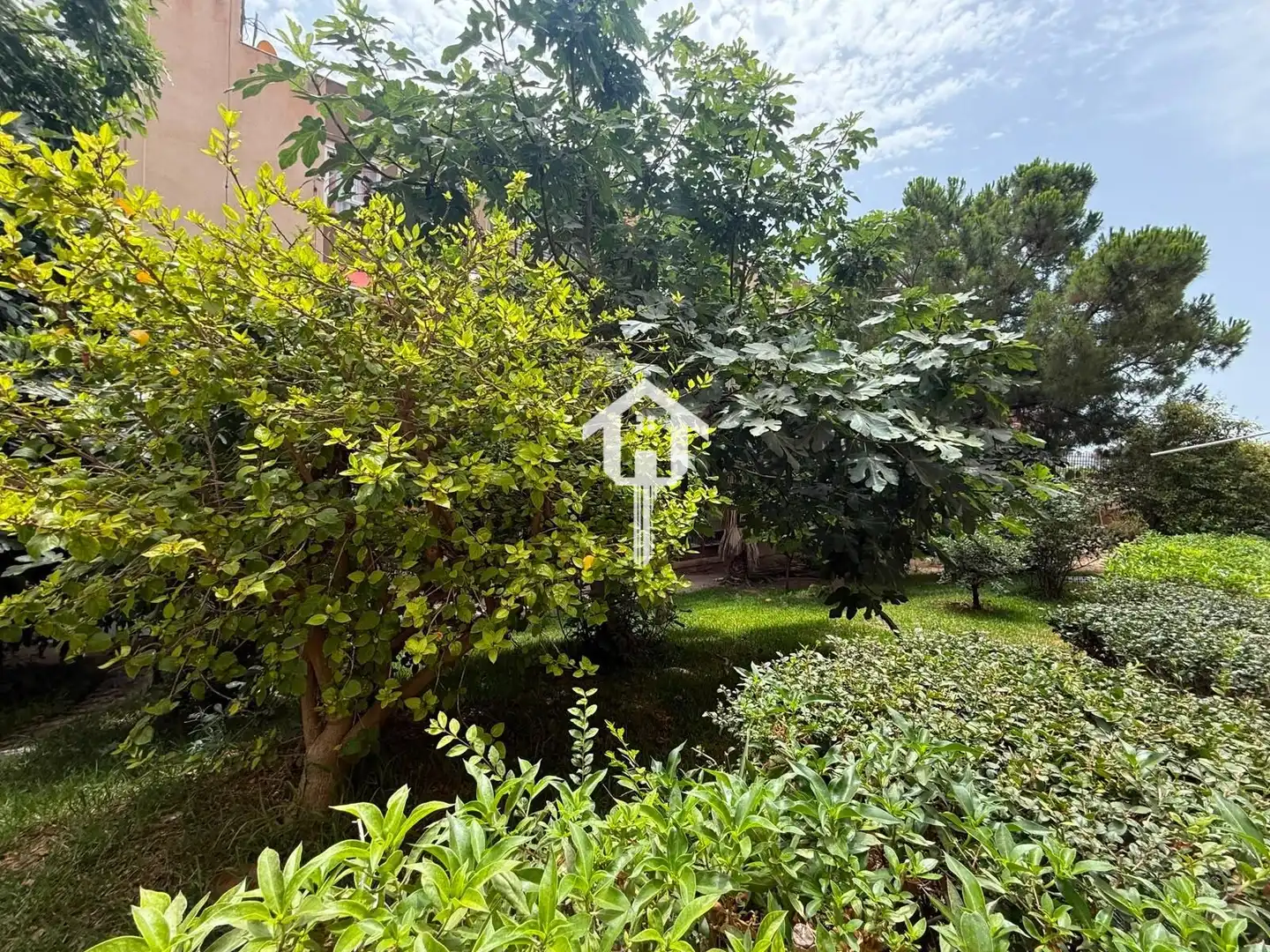 Flat with terrace for sale in Calle BENICHEMBLA, imagen 33