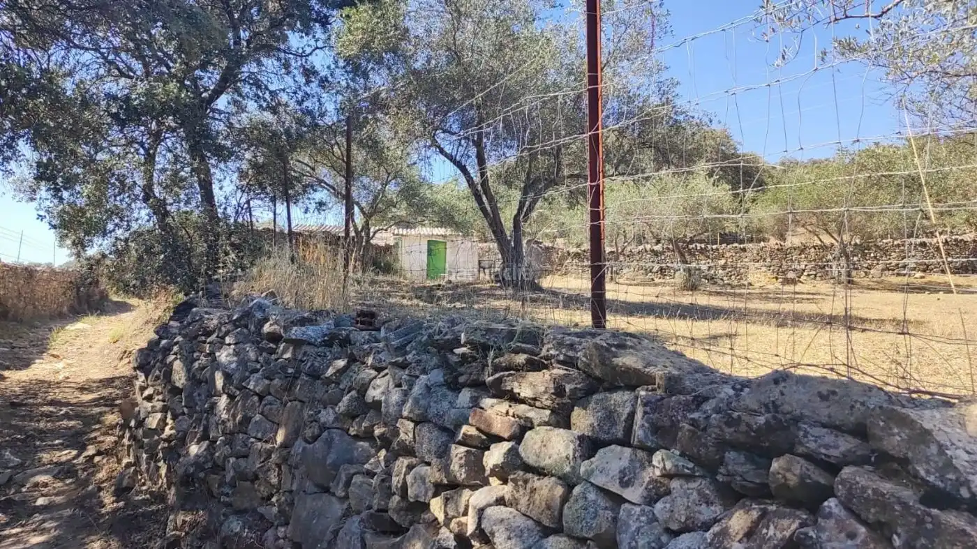 Terreny rústic en venda a Calle Blas Infante 58, imagen 10