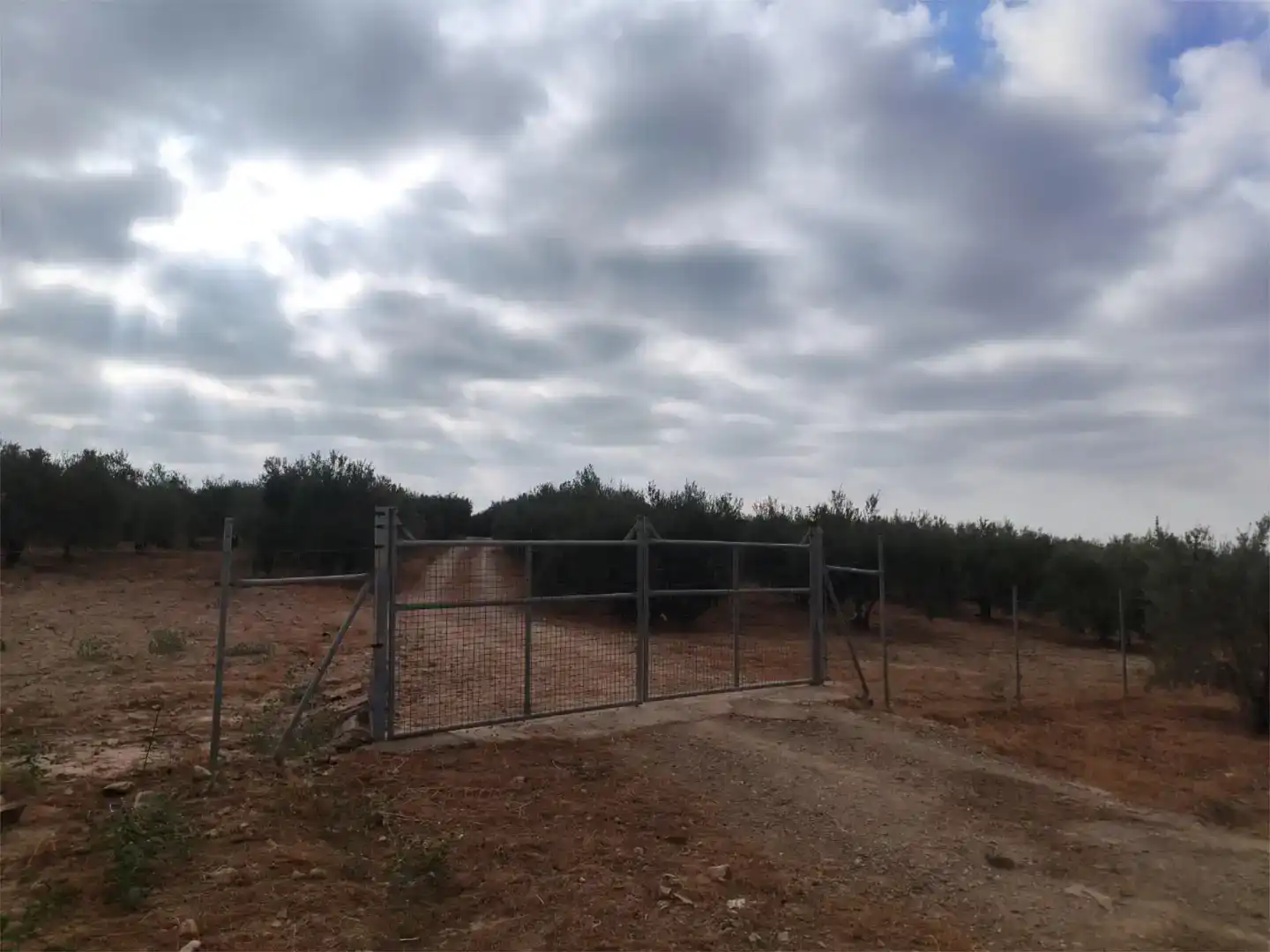 Finca rústica en venda en Guillena