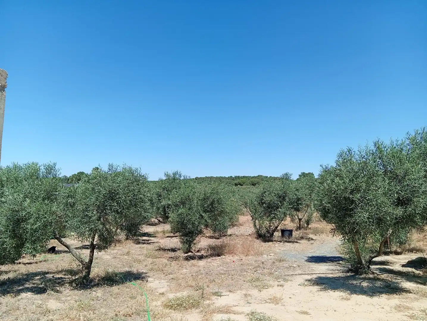 Terreni e lotti in vendita a Villablanca