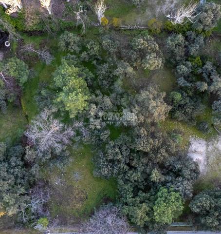 Terreno residencial en Venta en El Peñalar - Arroyo de Trofas - Montealegre