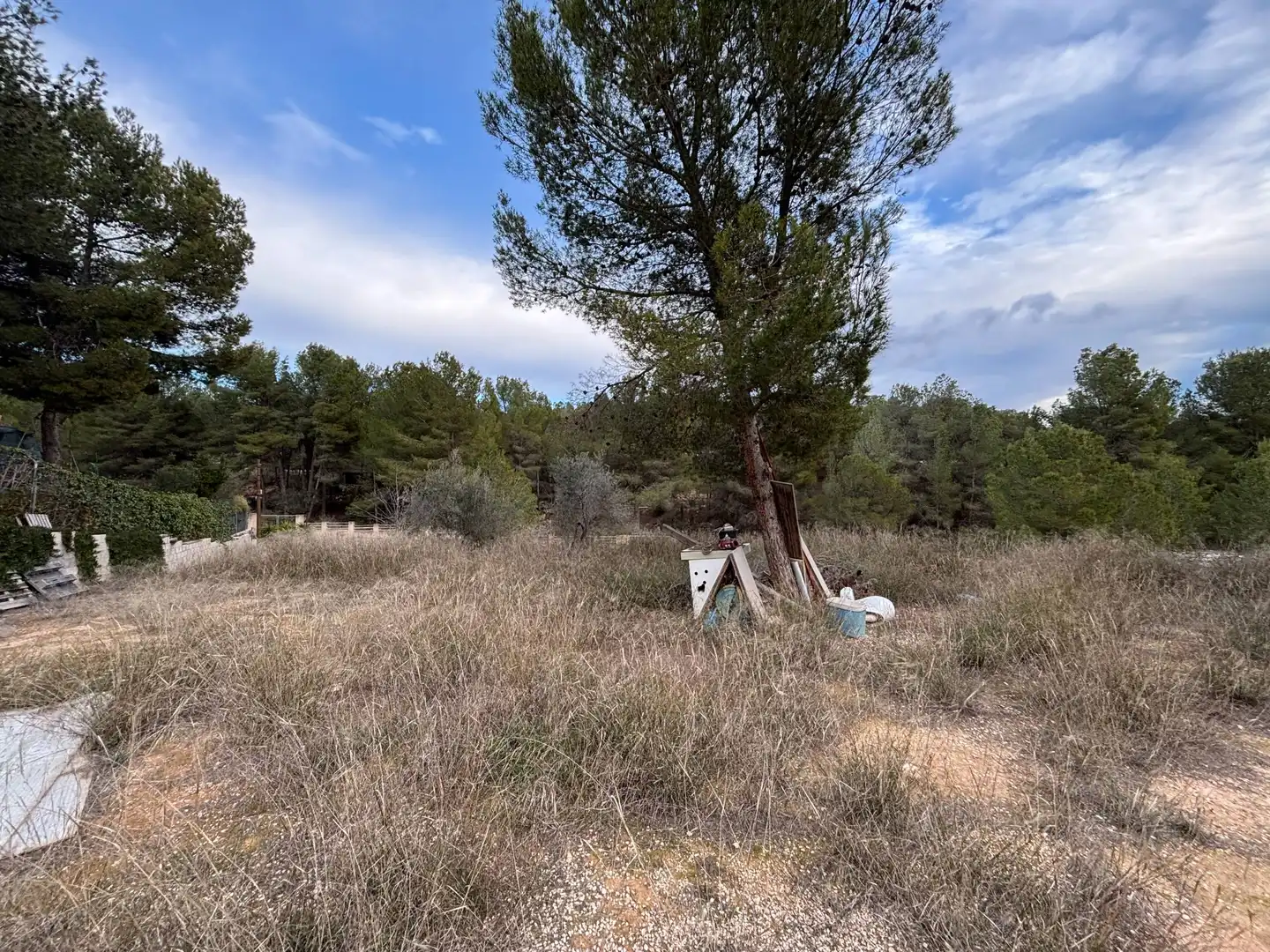 Residential land for sale in Urbanizacion FINCA TEROL, imagen 2