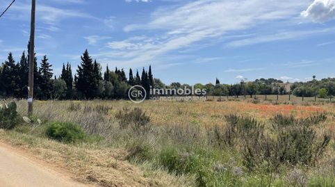 Foto 2 de Terreny en venda a Sencelles, Illes Balears