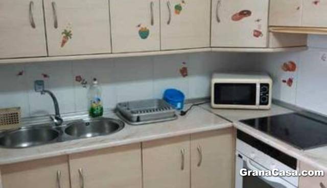 Piso en Alquiler en Paseo de Cartuja, 47 en San Ildefonso