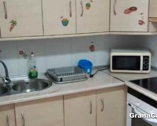 Cuina de Pis de lloguer en  Granada Capital amb Aire condicionat, Calefacció i Moblat