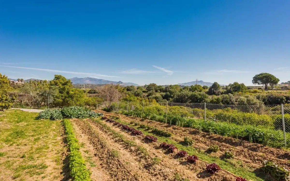 Chalet en venta en Estepona Pueblo, imagen 15