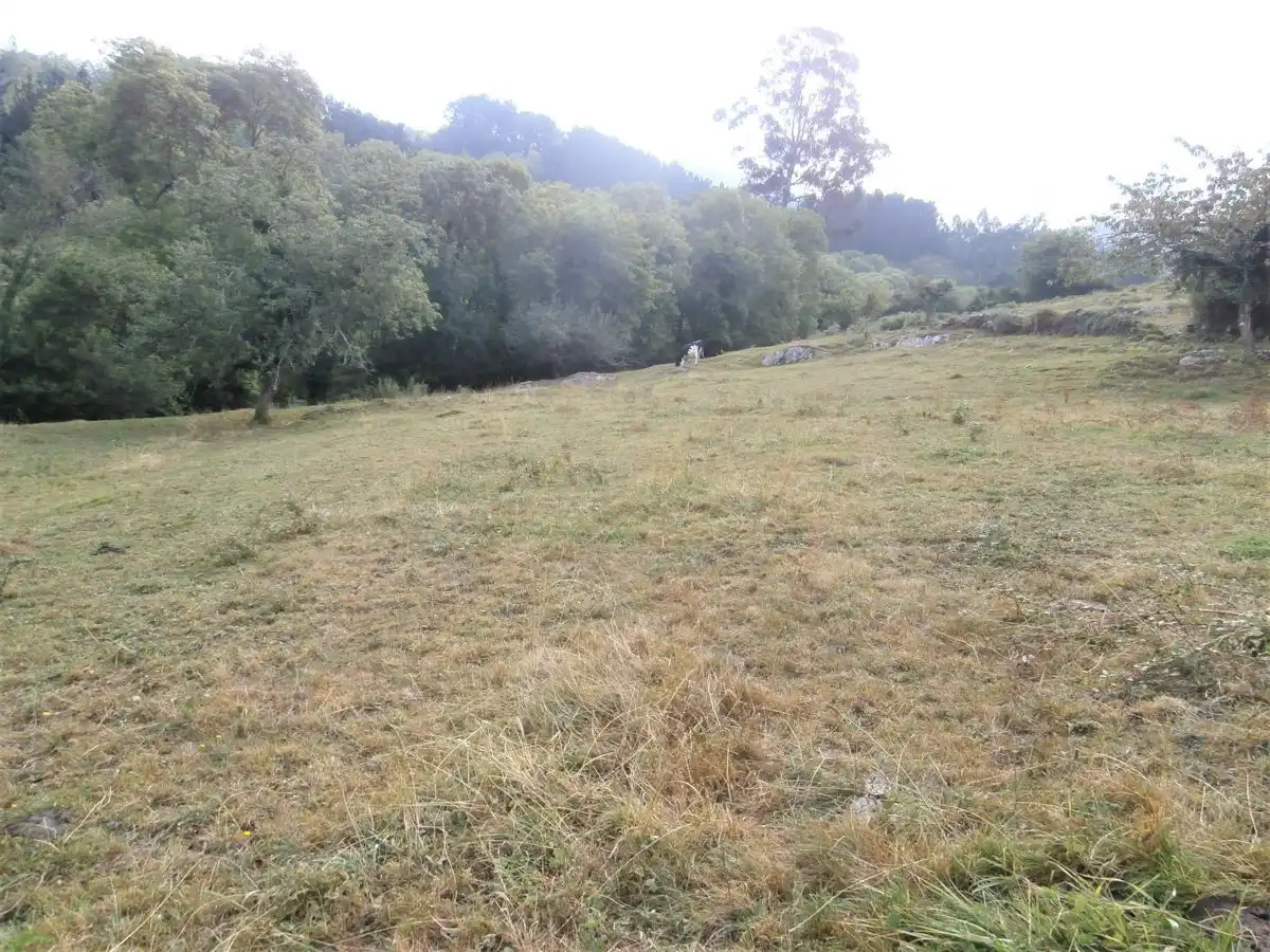 Terrenos y solares en venta en Salas