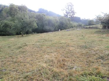Terreno residenziale in vendita a Salas